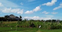 2 Plots for Sale Located At Bumbak Umalas