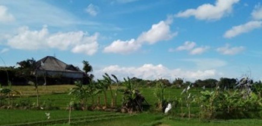 2 Plots for Sale Located At Bumbak Umalas