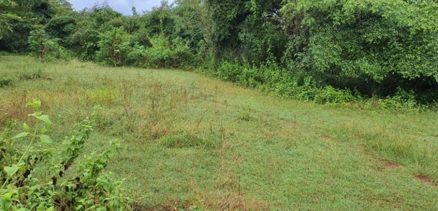 Land For Sale In Gunung Payung Kutuh