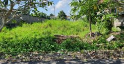 Land For Sale At Pererenan Canggu With Green Belt View