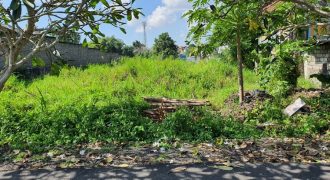 Land For Sale At Pererenan Canggu With Green Belt View