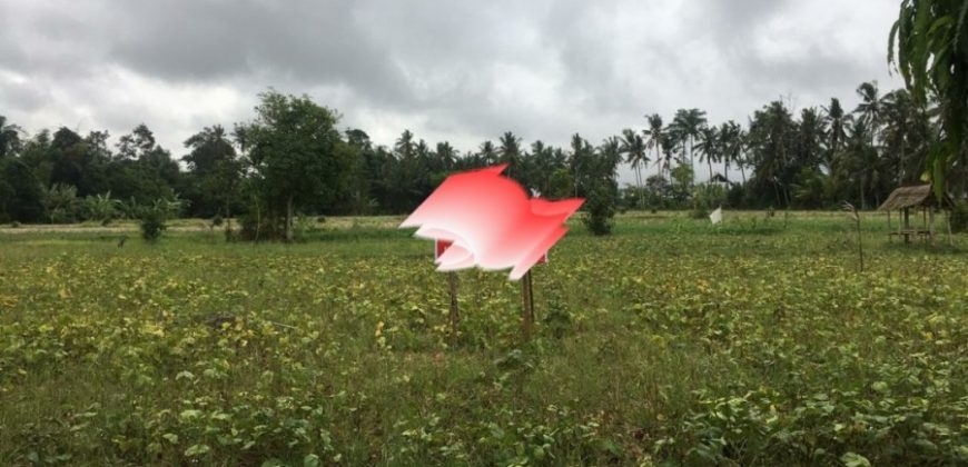 Land For Sale At Ubud Near To Hotel Area