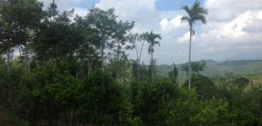 Land For Sale With Spectacular View At Payangan Ubud