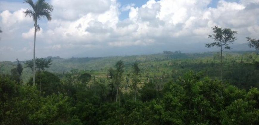 Land For Sale With Spectacular View At Payangan Ubud