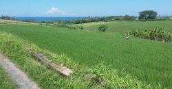 Land For Sale In Klecung Tabanan 1 Km To The Beach