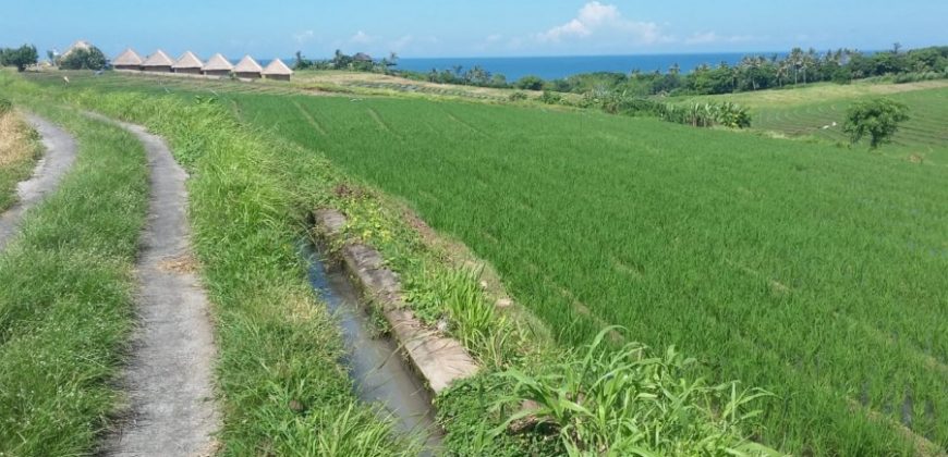 Land For Sale In Klecung Tabanan 1 Km To The Beach