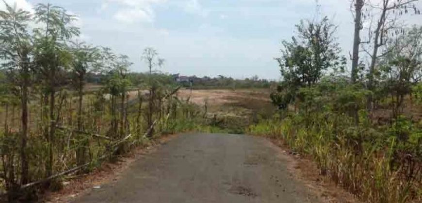 Land Near Udayana University Jimbaran