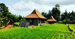 Land For Sale At Ubud Area