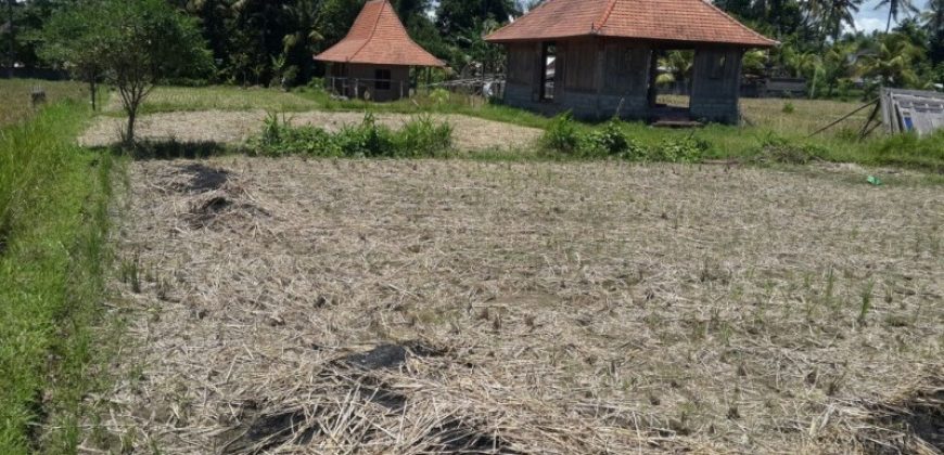 Land For Sale At Ubud Area