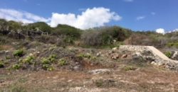 Cliff Front Land At Sumba Government Complex