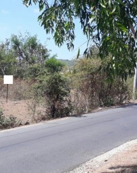 Land For Sale At Balangan 1.3 Km From The beach