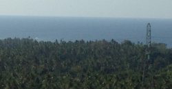 Ocean View Land Near Lovina Buleleng For sale