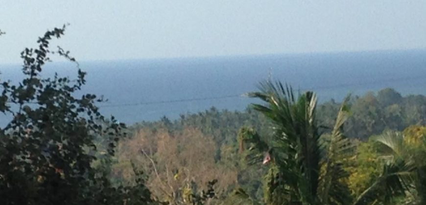 Ocean View Land Near Lovina Buleleng For sale