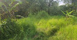 Land For Sale In Tabanan Suitable For Villa Retreat