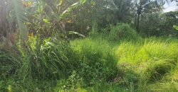 Land For Sale In Tabanan Suitable For Villa Retreat