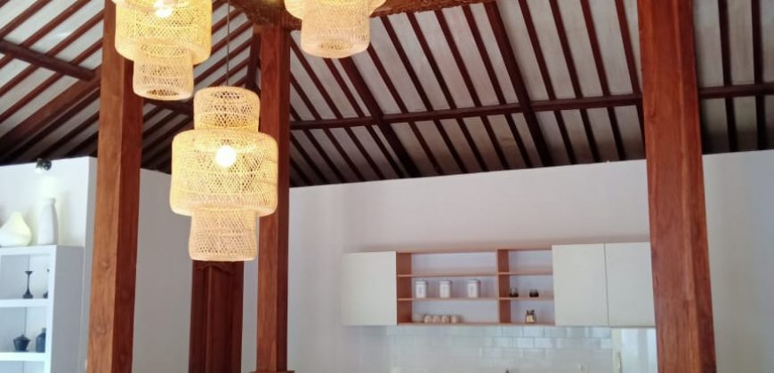 Luxury Villa Project at Padang Linjong Canggu