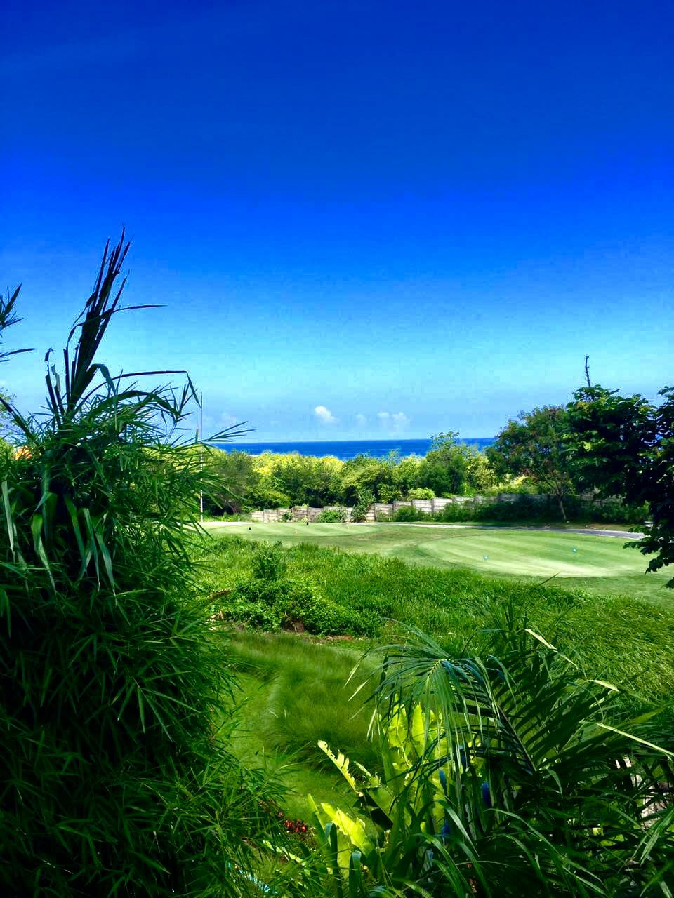 Dropping Price Ocean and Golf Course View Villa In Pecatu