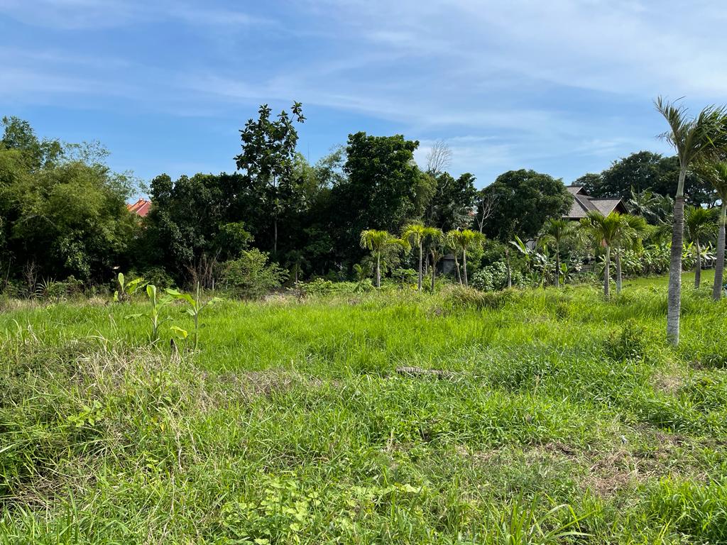Rice Field View Land In Batu Bolong Canggu
