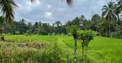Good Price!! Mountain and Rice Field View Land Near Monkey Forest Ubud