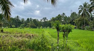 Good Price!! Mountain and Rice Field View Land Near Monkey Forest Ubud