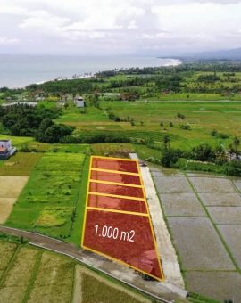Plots For Sale In Kedungu Beach Tabanan Villa Exclusive Area