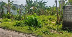Land For Sale In Tukad Badung Renon Denpasar