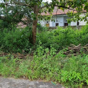 Land for Sale Near STP University Nusa Dua