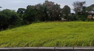 Good location Land in Nelayan Canggu