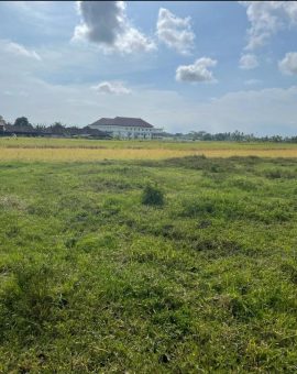 Land for Sale Located in Nyitdah Kediri Tabanan