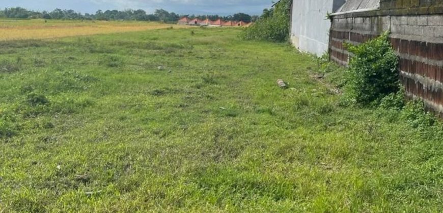 Land for Sale Located in Nyitdah Kediri Tabanan